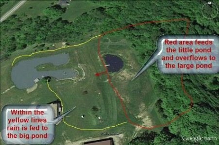 Large Pond Management Tips Image